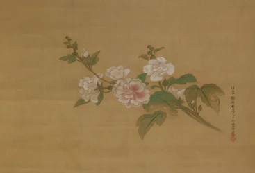 Um ramo de hibisco, Período Edo (cor de seda)